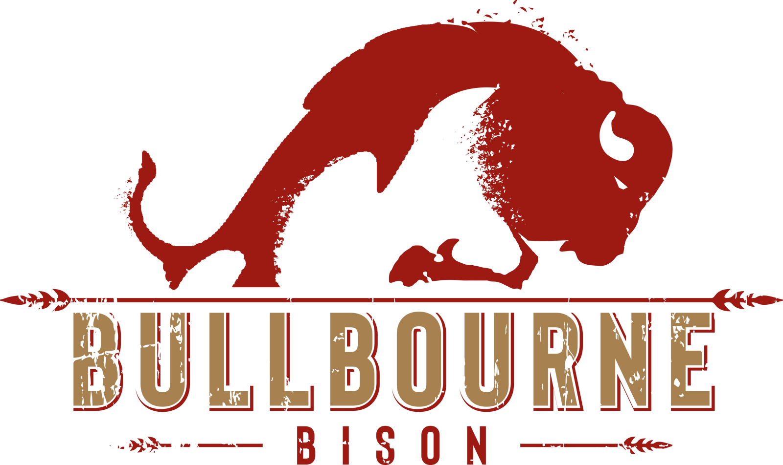 Bullbourne Bison Ranch photo 7