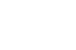 Bullbourne Bison Ranch photo 15