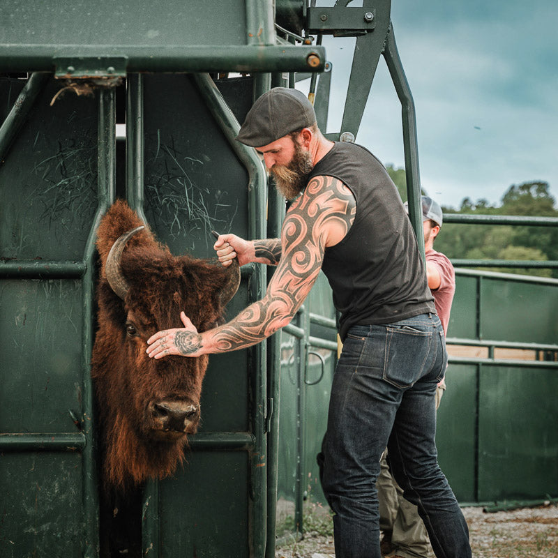 Bullbourne Bison Ranch photo 2